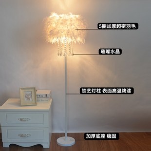 水晶羽毛落地灯婚庆客厅书房卧室床头灯公主美容直播补光立式台灯