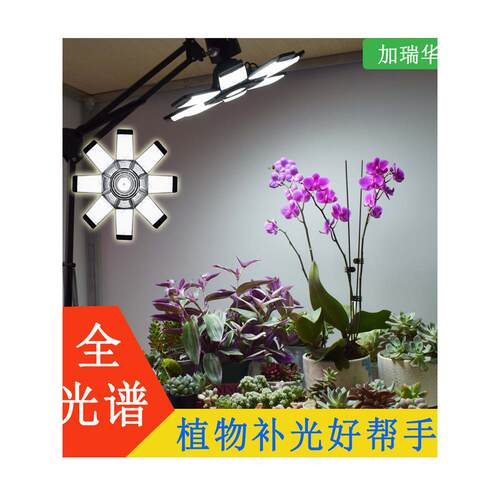 彷日光全光谱植物补光灯阳台支架室内兰花花玫瑰植物生长灯