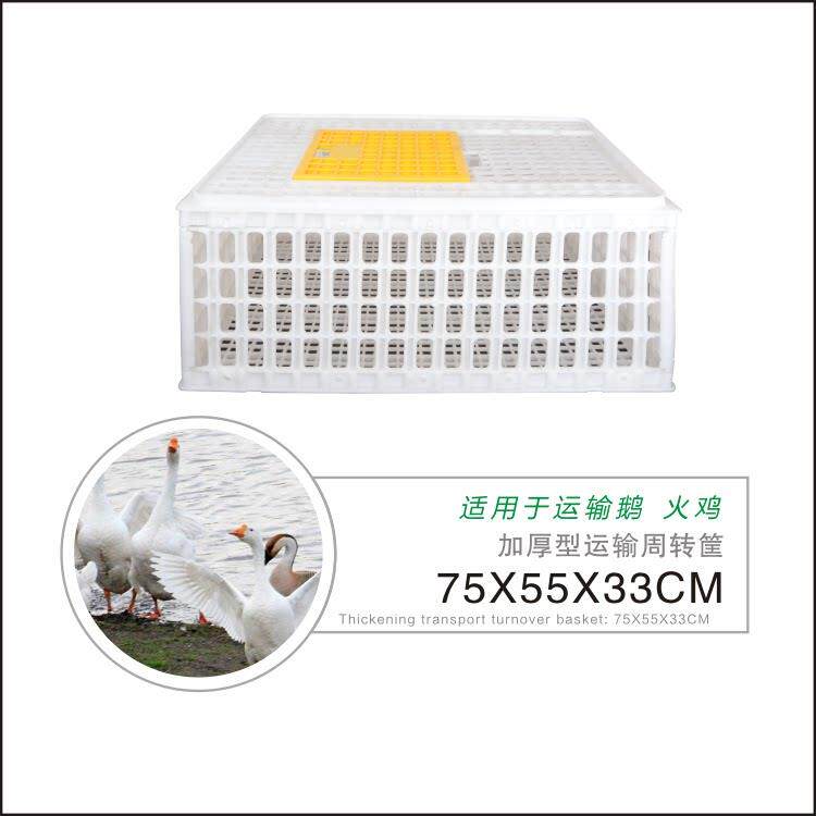 鸡笼周转箱鸭鹅运输筐塑料鸡笼子特大号活鸡周转箱成鸡框养鸡设备