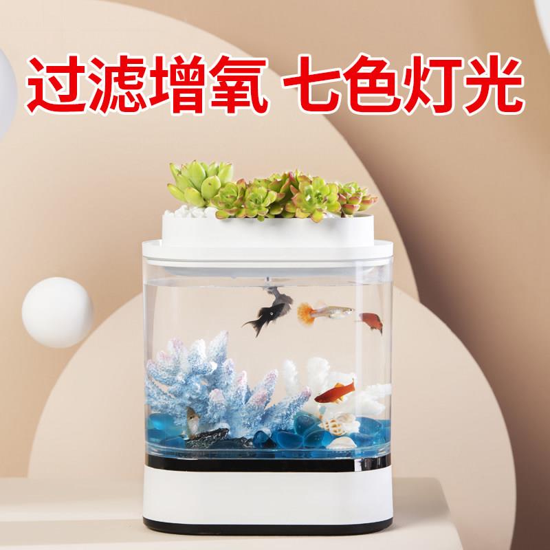画法几何迷你鱼缸办公室桌面USB生态斗鱼缸