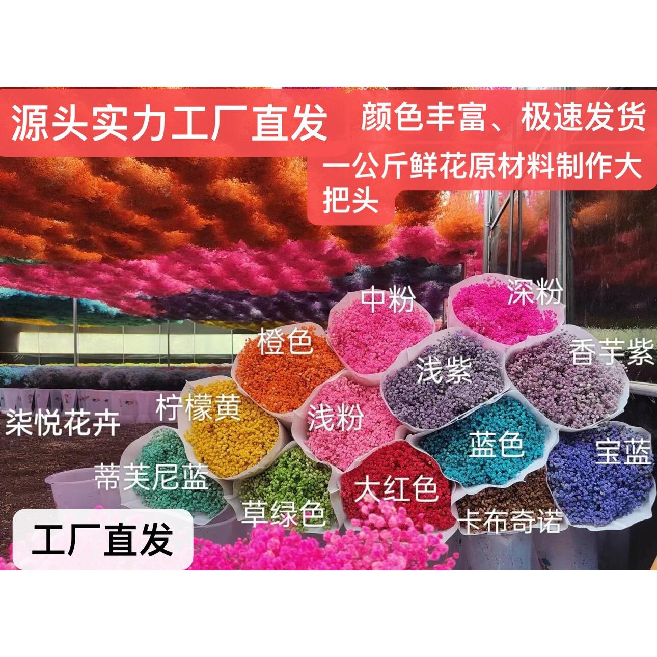 永生满天星干花花束客厅摆设装饰摆件云南直发永生花真花A级400克