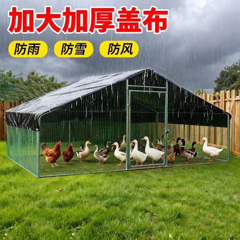 室外养殖养鸡鸽笼鸡棚特大号家禽斗鸡笼搭建鸡舍防雨养鸡棚全套