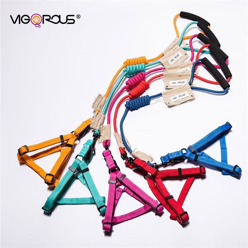 狗狗牵引绳背心式防挣脱不勒手博美比熊小型犬胸背带遛狗绳狗链子,宠物/宠物食品及用品,狗牵引绳,淘宝优惠券,粉丝福利购,淘宝优惠卷