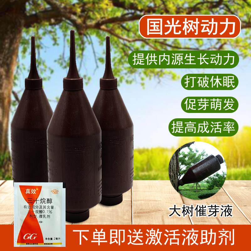 国光树动力大树营养液催芽液移栽促发芽促成活活力液吊针大树插瓶