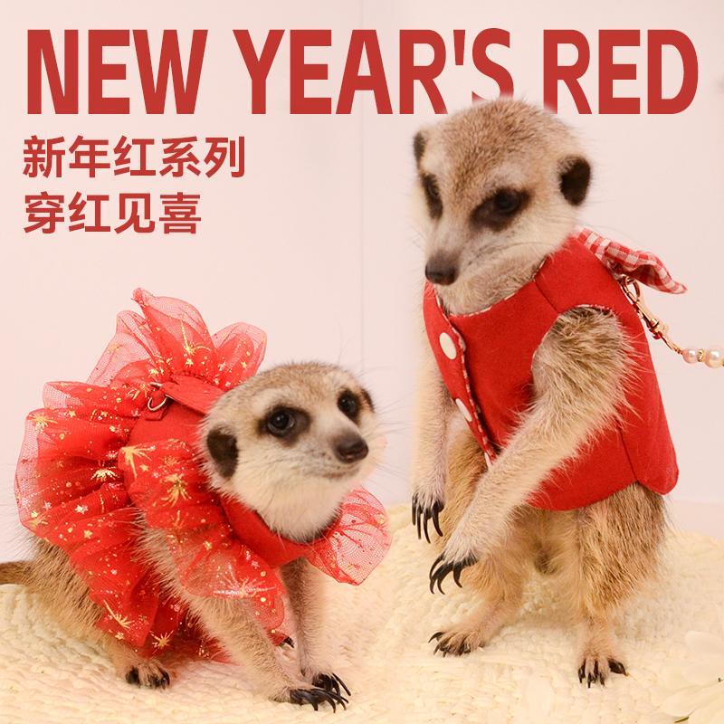 狐獴新年红过年马甲网纱裙宠物新年喜庆衣服牵引绳狐獴魔术贴衣服