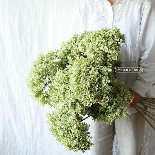 久伴天然绣球干燥花永生花花束真花插花客厅餐桌面装饰摆饰侘寂高