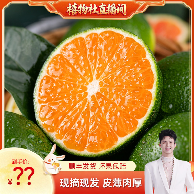 寻乌蜜橘头茬产地直发包邮