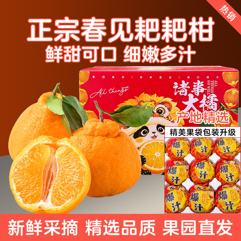 【现摘现发】四川正宗耙耙柑新鲜当季水果产地直发包邮