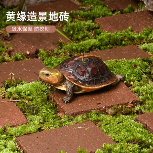 黄缘乌龟缸造景保湿小陶砖安缘半水龟饲养箱装饰用品陆龟地砖摆件