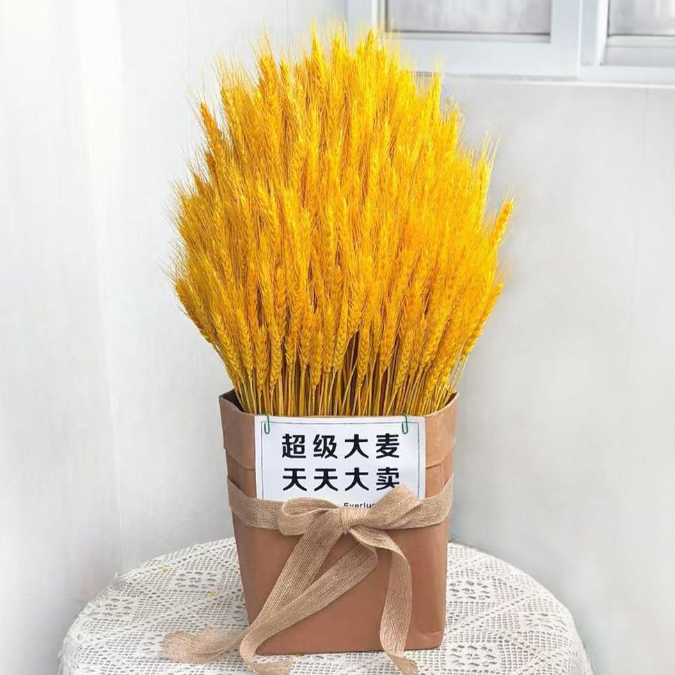 开业花篮天然大麦北欧ins风干花束森系装饰摆饰乔迁开工礼物成品