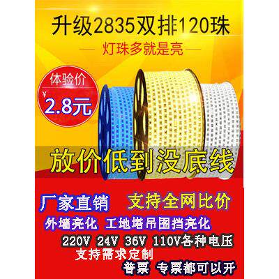 户外Led防水灯条220V工程外墙低压24V超亮养殖工地灯塔吊灯条