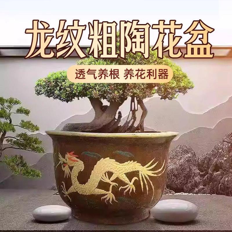 龙缸花盆特价陶瓷盆景大口径铁树盆透气庭院特大型陶土大缸盆清仓