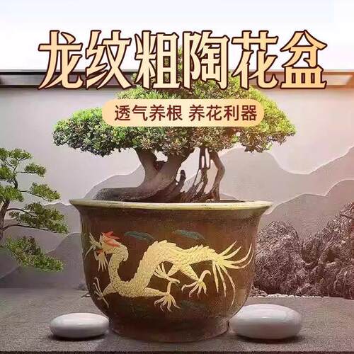 龙缸花盆特价陶瓷盆景大口径铁树盆透气庭院特大型陶土大缸盆清仓
