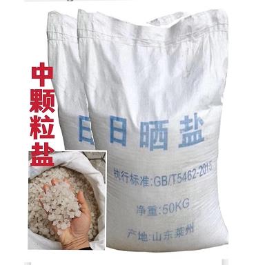 工业盐大颗粒盐日晒粗盐海盐水产养殖泡脚杀树化雪鱼缸专用50公斤