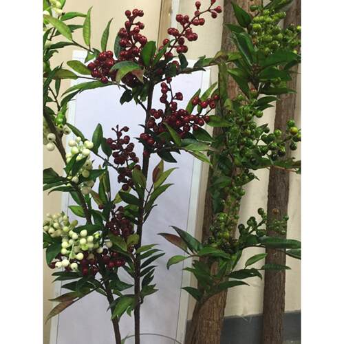 高彷真花假花 落地装饰长枝冬青果浆果咖啡豆彷真花DIY搭配花材