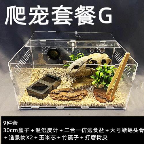 活体爬宠爬虫昆虫蜘蛛躲避饲养箱盒宠物豹纹守宫雨林蝎亚克力套装