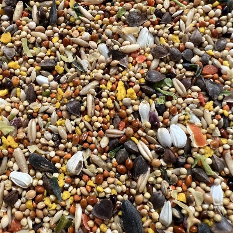 鸟粮鹦鹉蔬菜蛋黄增肥充鸟食鸟粮牡丹玄凤营养混合粮1斤真空,宠物/宠物食品及用品,鸟禽其他,淘宝优惠券,粉丝福利购,淘宝优惠卷