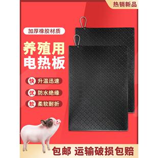 橡胶猪用电热板兽用宠物养殖场加热板保温板碳纤维猪舍产床电热板