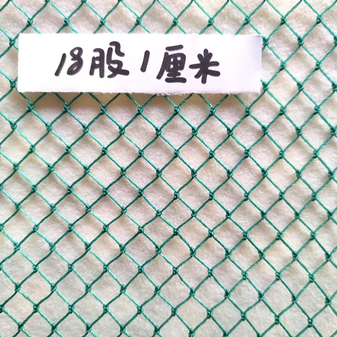 12股1厘米养鸡网渔网养殖网鱼网护栏网防护网菜园围栏网尼龙网子