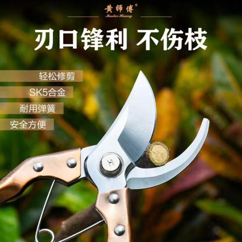 黄师傅修枝剪园艺SK5修花剪枝剪刀粗枝省力剪果树枝园林剪枝剪子