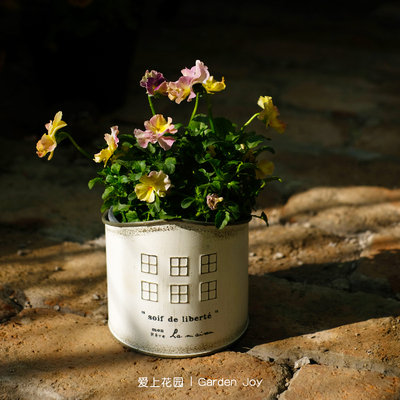 爱上花园园艺杂货 铁艺做旧花盒 铁皮小房子花盆soif de liberte