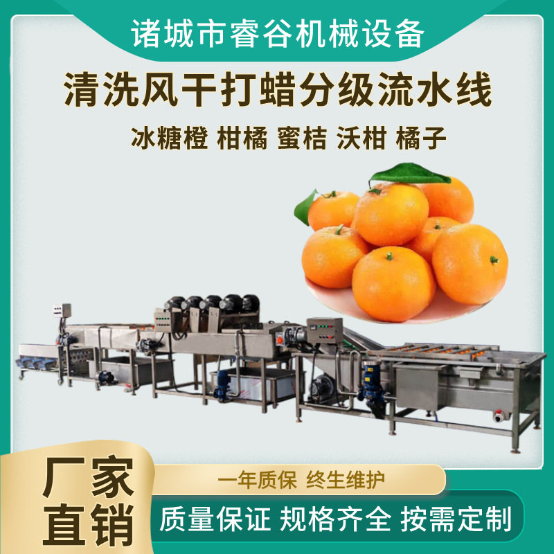 商用芦柑清洗机苹果分级机香梨清洗风干分级流水线水果清洗选果设