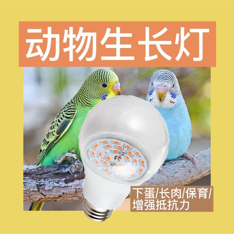 地下室鹦鹉LED宠物太阳光UVB补钙大棚养殖生长补光灯泡乌龟晒背灯,家装灯饰光源,LED球泡灯,淘宝优惠券,粉丝福利购,淘宝优惠卷