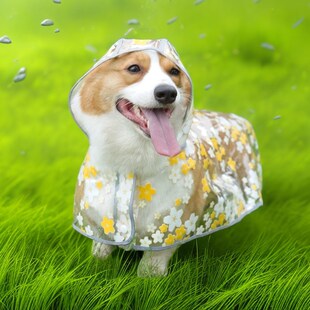 狗狗花朵雨披全包四脚防水小型犬包脚连体雨衣宠物中型犬柴犬柯基