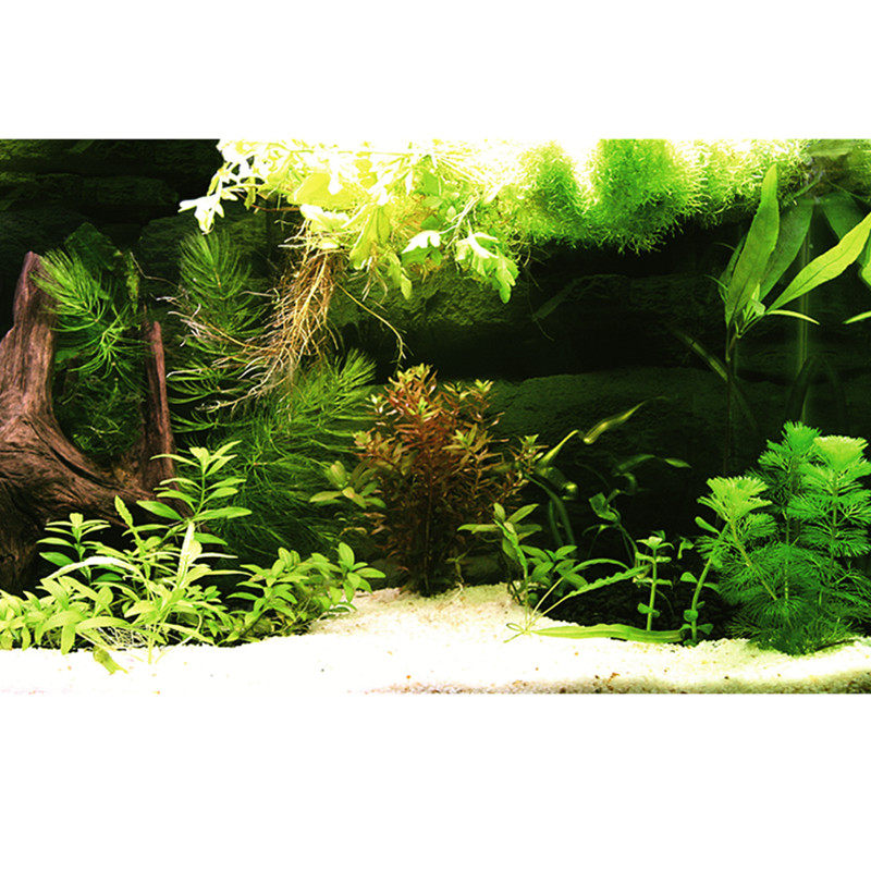 鱼缸背景贴纸画高清3d立体水族箱造景画鱼缸箱装饰外贴新款挂画,宠物/宠物食品及用品,底柜/落地缸,淘宝优惠券,粉丝福利购,淘宝优惠卷