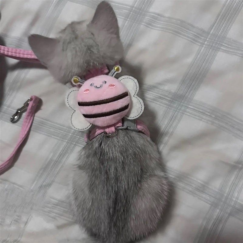 猫咪牵引绳出门防挣脱布偶金渐层泰迪比熊胸背带绳子可调节溜猫绳,宠物/宠物食品及用品,猫牵引绳,淘宝优惠券,粉丝福利购,淘宝优惠卷