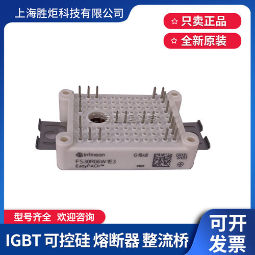 IGBT FS100/150R17PE4 FS10/15R12VT3 FS30/50R06W1E3 FS450R12K