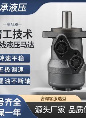 国产替代M439989A103-2028TE0165AP100AAAA液压马达