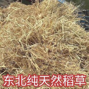 新天然干稻草秸秆做霉豆腐的禾秆稻草屋顶装饰草帘子稻柴草绳谷草