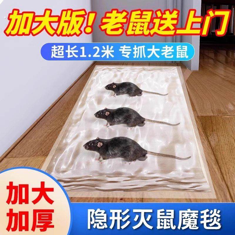 超强力粘鼠板大老鼠贴捕鼠老鼠神器克星透明隐形大号家用灭黏粘鼠,居家日用,灭鼠笼/捕鼠器,淘宝优惠券,粉丝福利购,淘宝优惠卷