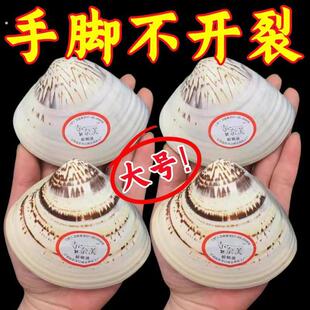 老上海蛤蜊油护手霜冬天滋润防干裂手油老式嘎啦油蚌壳歪子油贝壳