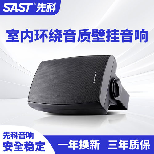 先科A1挂壁式音响喇叭