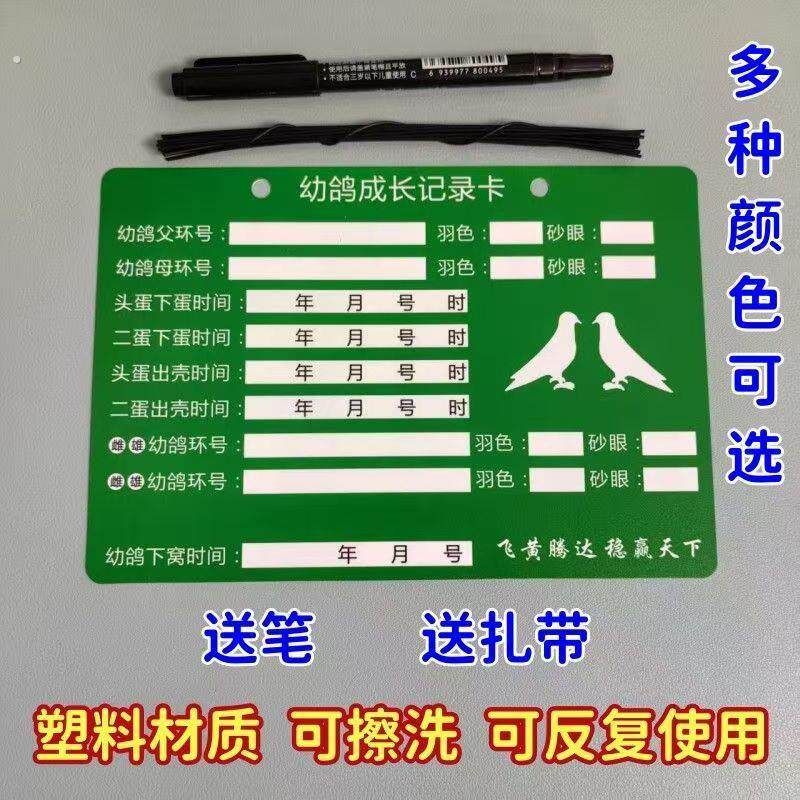 幼鸽成长记录卡信鸽鸽子识别册赛鸽书册辨别卡片塑料直系记录卡片