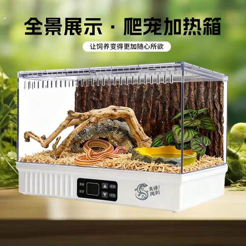 离谱爬创爬宠温控加热恒温饲养箱蜥蜴瘤尾豹纹肥尾守宫蛇蜘蛛造景