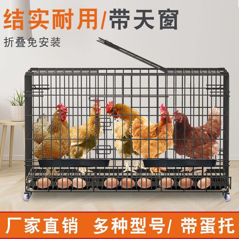 防鸡吃蛋下蛋窝鸡笼子家用养鸡笼大号特大号滚蛋鸡笼折叠养殖笼鸡