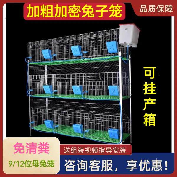 兔子笼9/12位热浸镀锌养殖兔笼新型免清粪兔笼弹簧门大号母兔笼