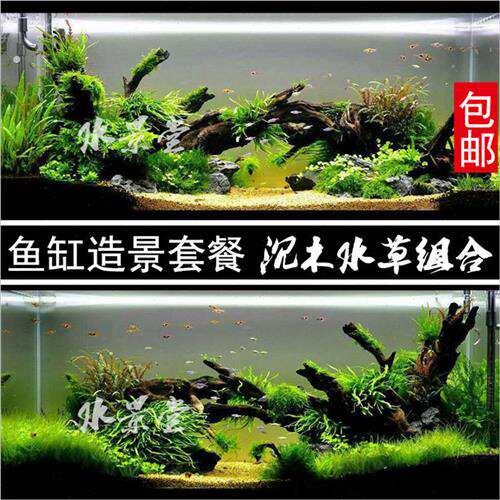 沉木造景套餐景观套餐搭配配件水族小桥水草泥超白缸一木一叶