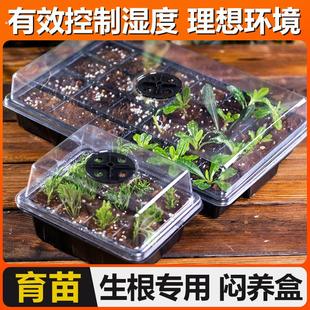 闷养箱育苗盒培育盘加高套装带盖子大型庭院园艺扦插保温湿御寒暖