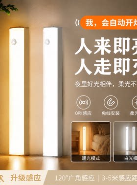 LED灯条楼道人体感应灯