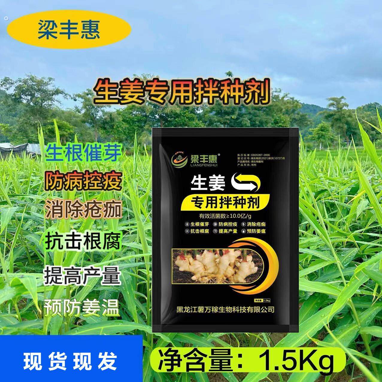 生姜专用拌种剂杀菌催芽种姜姜种生根催芽浸种剂病原菌