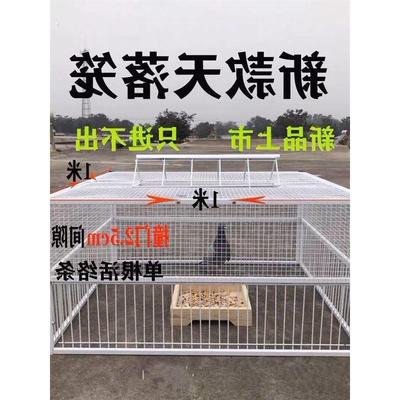 鸽子诱捕器天落笼祇进不出鸽子笼加密收鸽笼活络门户外自动收鸽器