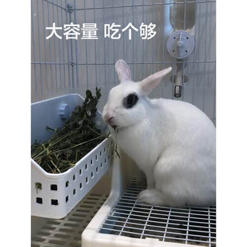 兔子草架大容量草筐 龙猫荷兰猪豚鼠草篮子牧草食盆不漏草兔用品
