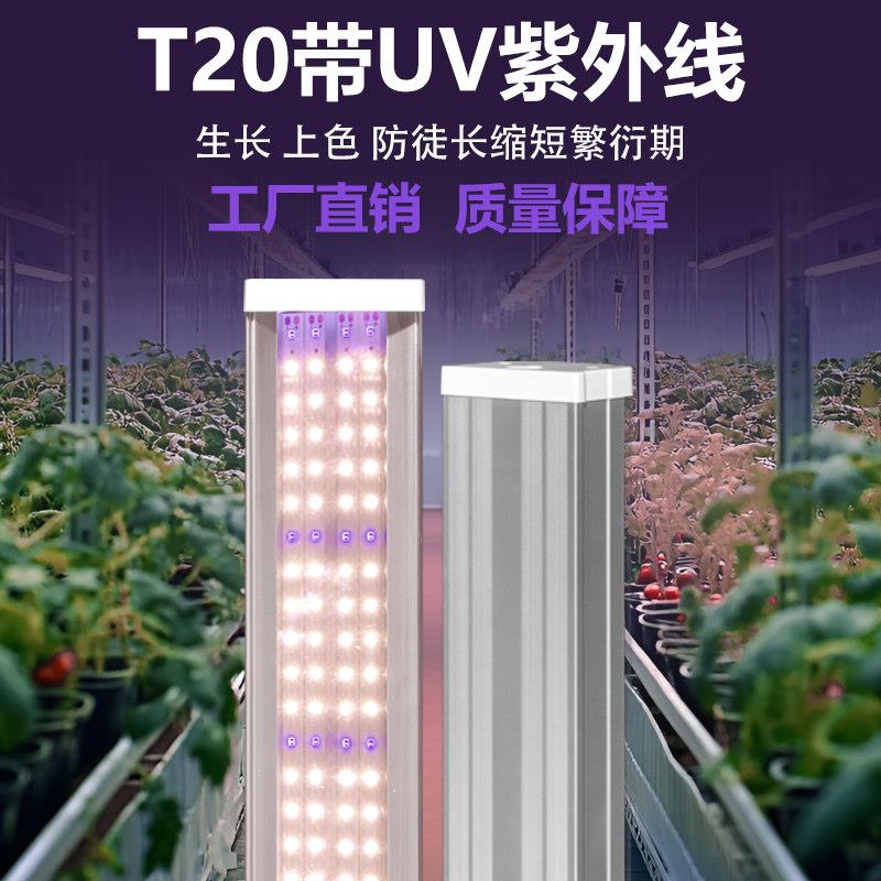 多肉上色防徒长UVA紫外线补光灯全光谱led彷太阳光花架室内生长灯