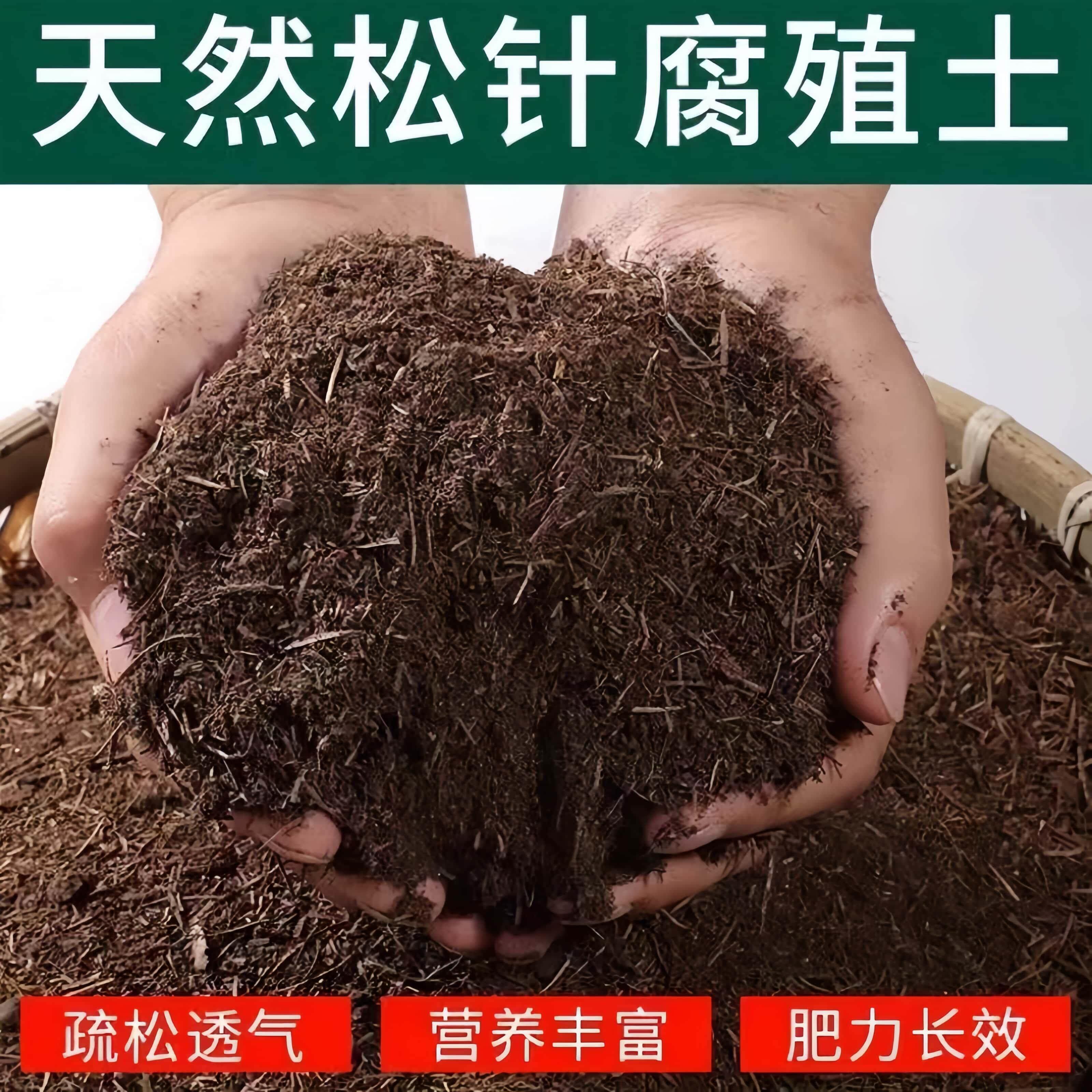 东北天然松针腐殖土腐叶腐熟纯落叶松针土月季杜鹃君子兰营养花土