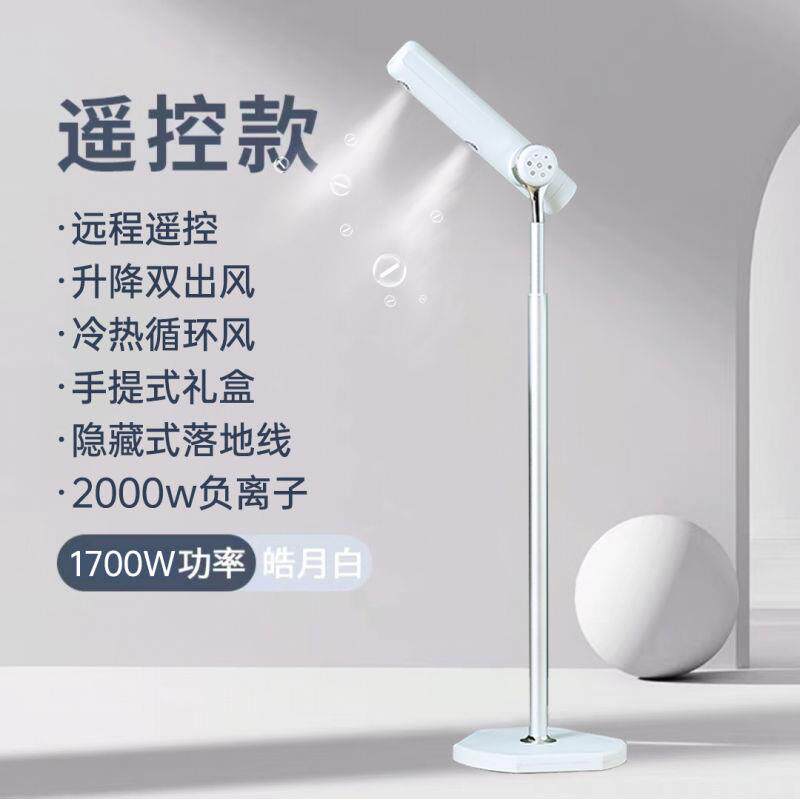 台湾110v韩国220v香港新马来负离子干发高速立式吹风机落地电吹风