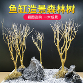 莫斯树森林树天然骨架成品水草沉木小型树形鱼缸造景木材料干树枝